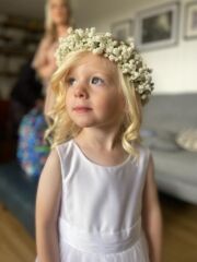 image2 (2)